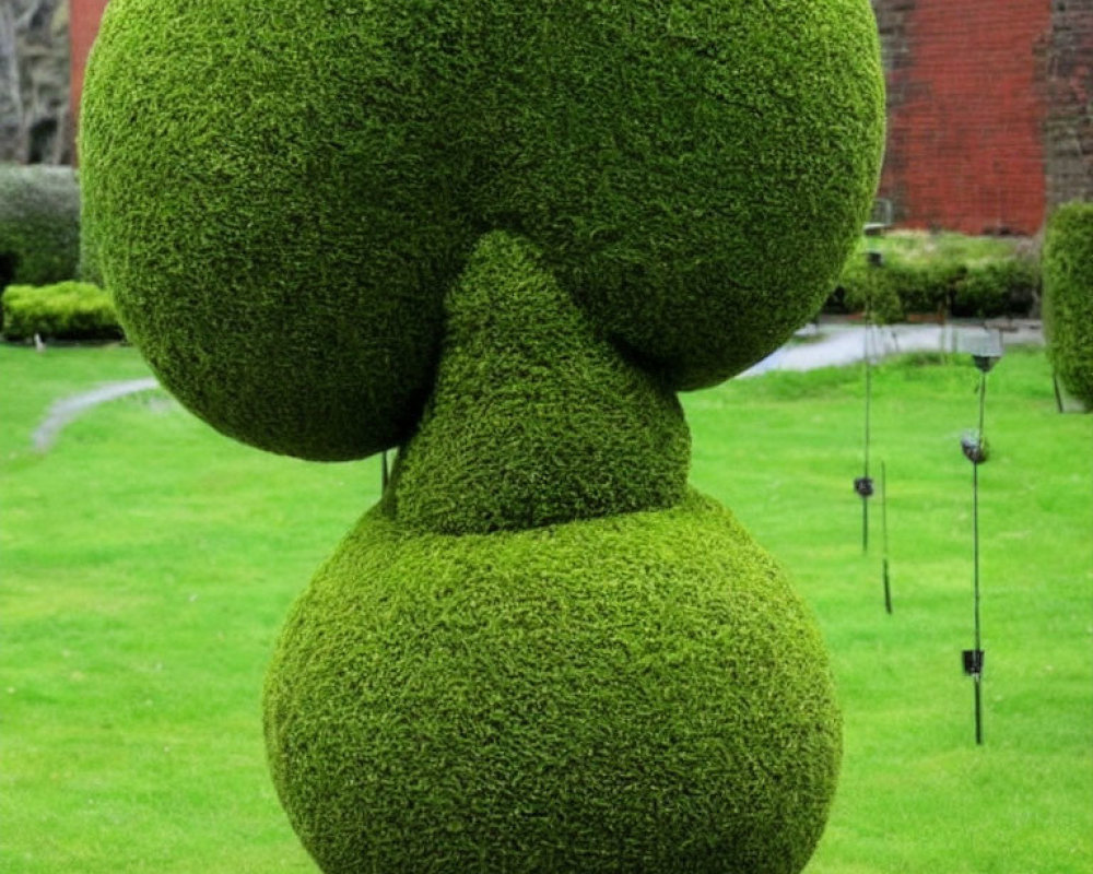 Green topiary sculpture with three spherical sections in garden setting.