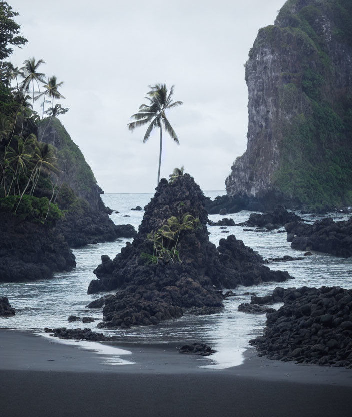 Tranquil beach with volcanic rocks, palm tree, lush foliage, towering cliff