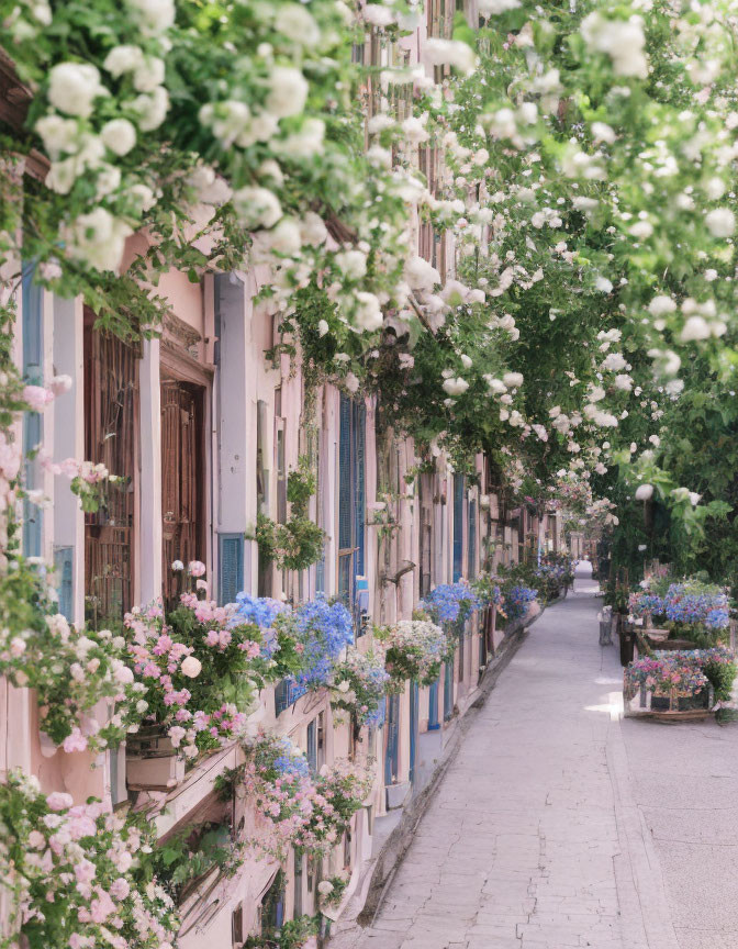 Scenic alley with white flowers, pastel buildings, and blue planters