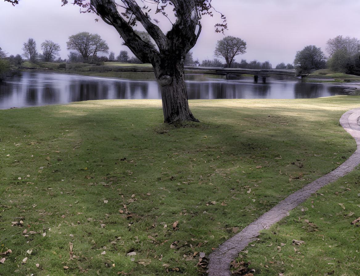 Tranquil park landscape with winding path, large tree, scattered leaves, and calm river under glo