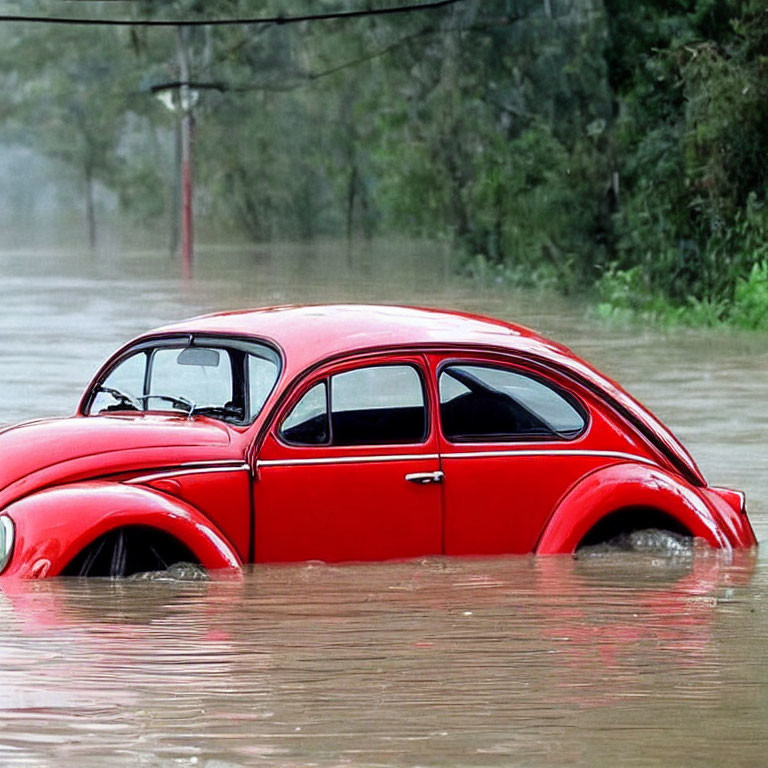 Red Volkswagen Beetle half-submerged in floodwaters with trees and utility pole.