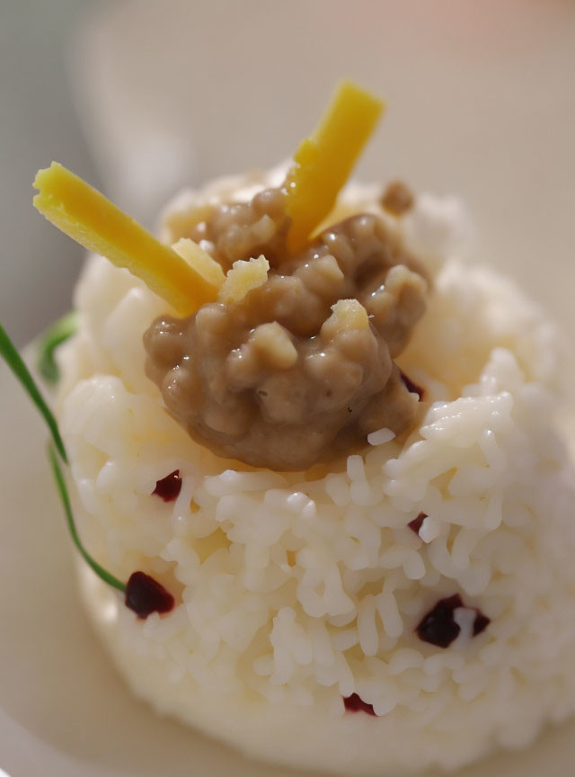 White Rice with Red Specks, Beige Sauce, Yellow Strips, and Green Garnish