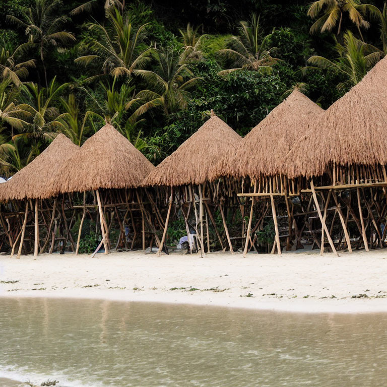 Tropical Thatched-Roof Huts on Stilts with Palm Trees