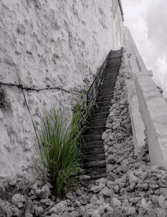 Weathered Staircase with Crumbling Steps and Overgrown Grass by White Wall