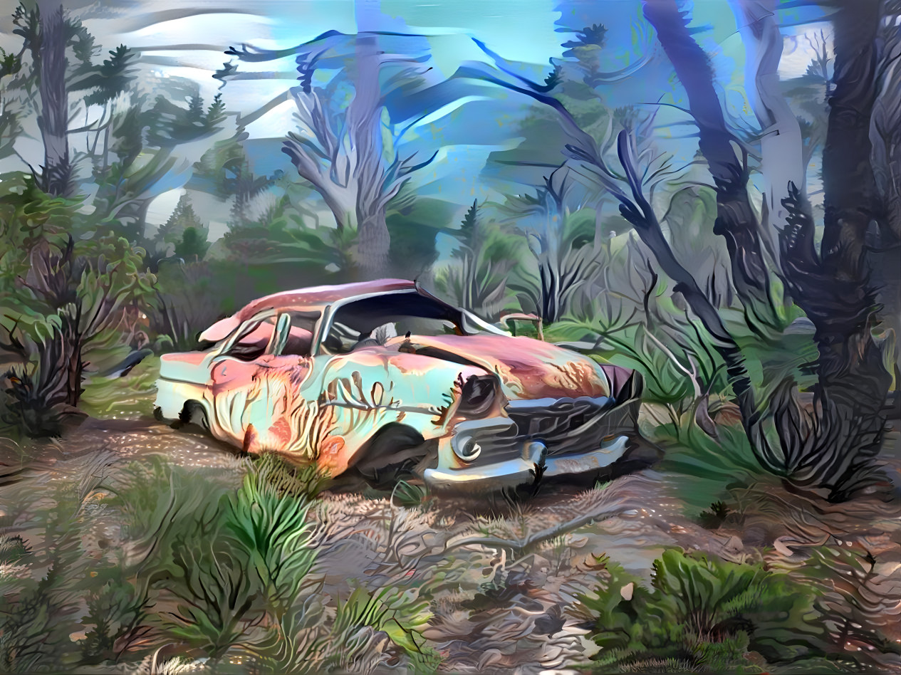 EK Holden found in the bush