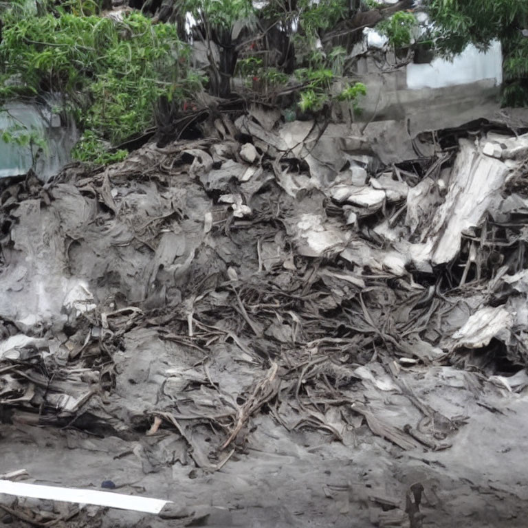 Debris and dry leaves on slope with greenery background