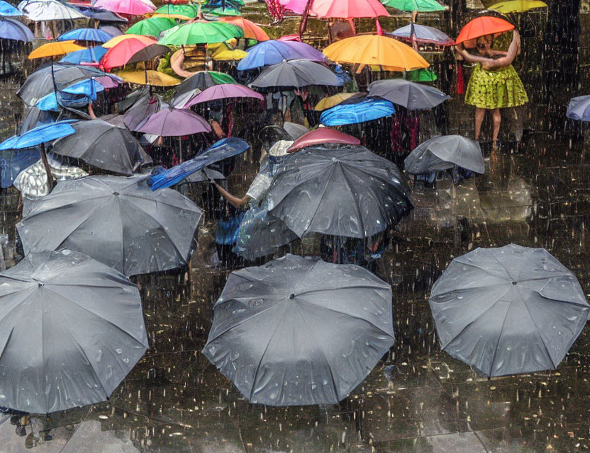 Colorful Umbrellas in Rain with Water Droplets and Lone Figure Getting Wet