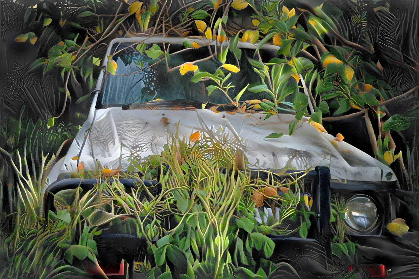 Overgrown Nissan Patrol