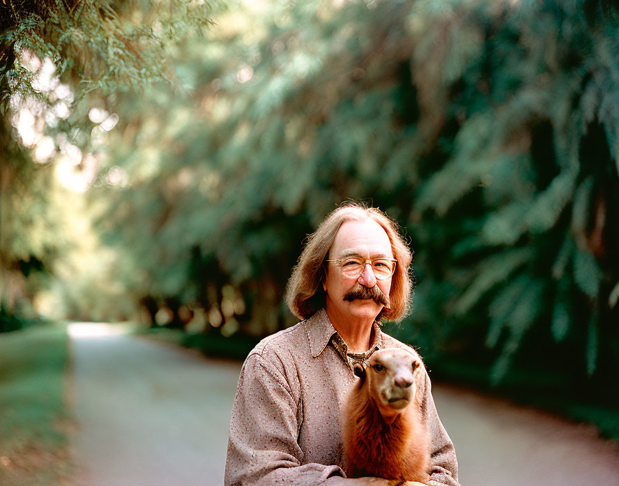 Smiling man with mustache and glasses holding llama in tree-lined path