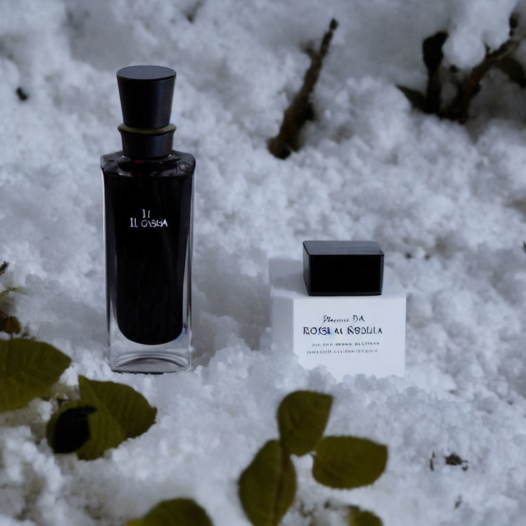 Perfume bottle and box labeled "Rosa di Rodola" on snow with green leaves.