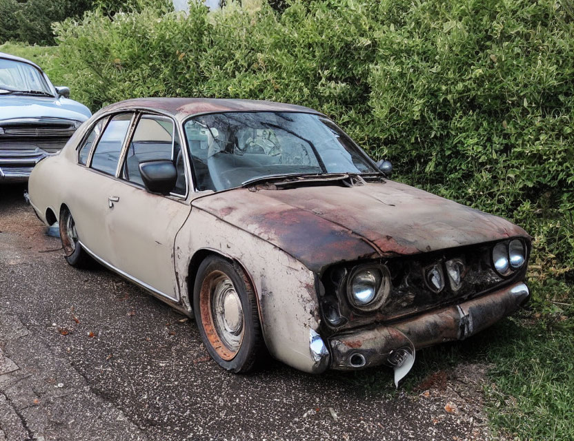 Rusted Two-Tone Car with Flat Tires Beside Green Bushes