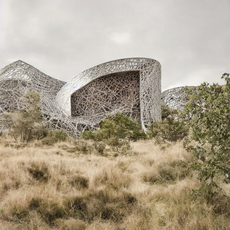 Modern building with lacy metal facade in dry grassland under overcast sky