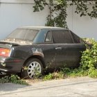 Rusted car covered in vegetation parked against ivy-covered wall