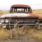 Rusted abandoned truck in overgrown field with cloudy sky