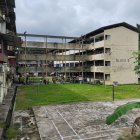 Tranquil overgrown courtyard with lush greenery and weathered stone tiles surrounded by modern buildings.