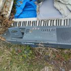 Blue grand piano with golden accents surrounded by lush bushes under cloudy sky