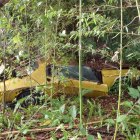 Whimsical Yellow Hybrid Vehicle in Lush Jungle Setting