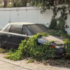 Futuristic vehicle in dense jungle with lush foliage