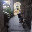 Old Buildings and Cats in Narrow Alleyway Scene