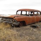 Abandoned rusty station wagon in wildflower field under cloudy sky