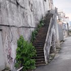 Person on Ancient Jungle Staircase amid Ruins