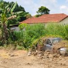 Overgrown RC Car in Backyard with House and Blue Sky