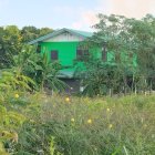 Angular Green House Nestled in Lush Gardens with Pond and Colorful Flowers