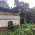 Traditional Chinese architecture with upturned roofs and red lanterns amidst green shrubbery