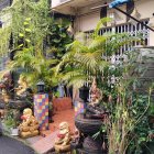 Overgrown abandoned stairway in lush tropical greenhouse with deteriorating classical architecture