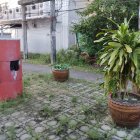 Fantastical garden with vibrant flora and pink door amid classical architecture