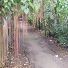 Child in white outfit walking on surreal forest path with hanging mirror, waterfall, pink cliffs, and green