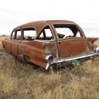 Abandoned vintage car with peeling paint in grassy field