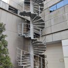 Intricate iron spiral staircase with floral surroundings in classical architecture