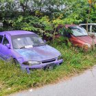 Vintage Purple and Brown Cars on Grass Roadside