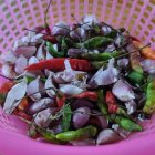 Close-up of plump purple succulent leaves in pink mesh pot