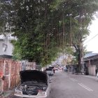 Abandoned vintage cars in rustic courtyard setting