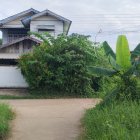 Geometric Modern House with Lush Garden & Paved Driveway