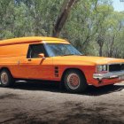 Vintage panel van with Yosemite Park logo in wooded area with pine trees.