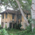 Unique Multi-Story House with Round Windows & Balconies in Forest Setting