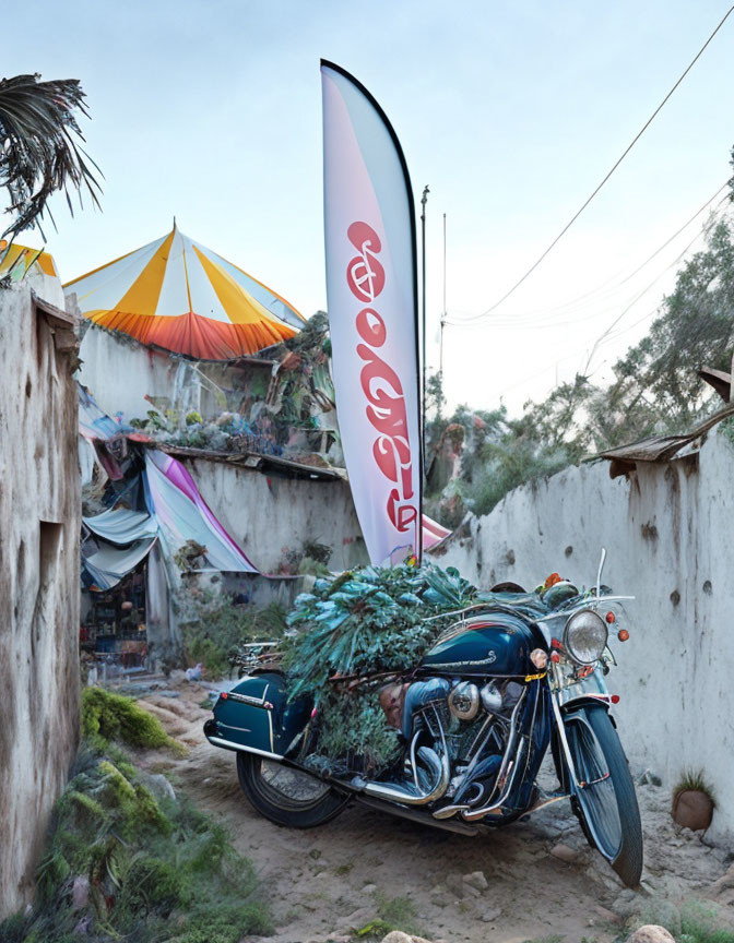 Motorcycle with plants in rustic alleyway with colorful flag