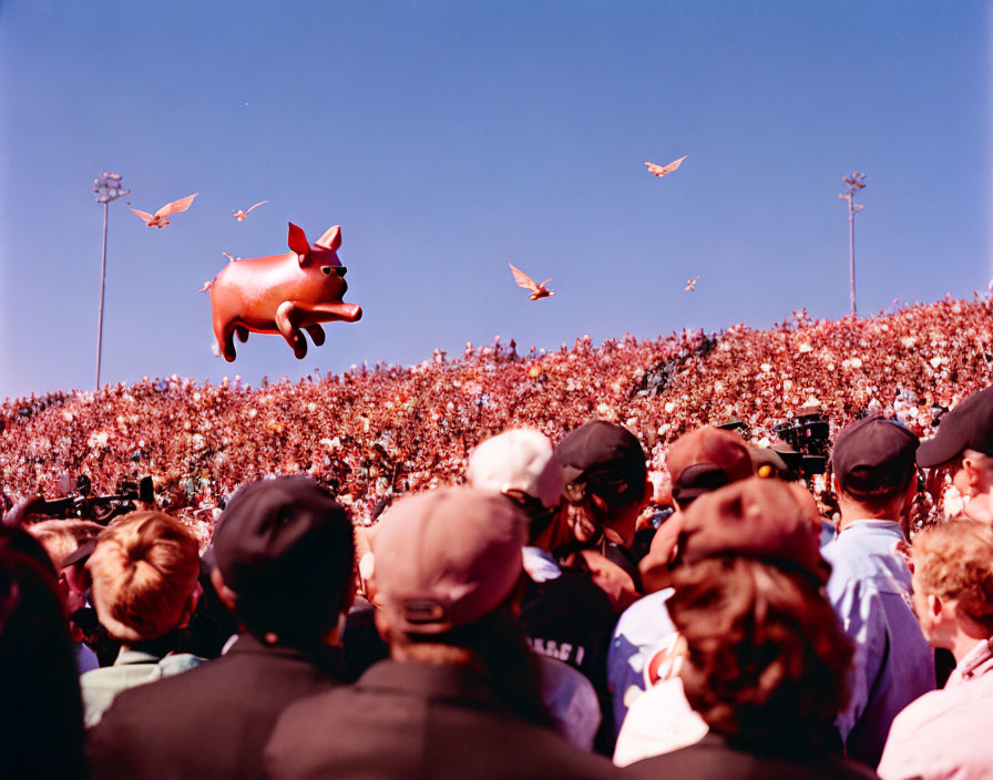 Giant inflatable pig hovering over stadium crowd with birds in blue sky