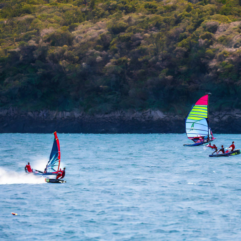 Colorful sailboats racing on blue sea with green forested coastline