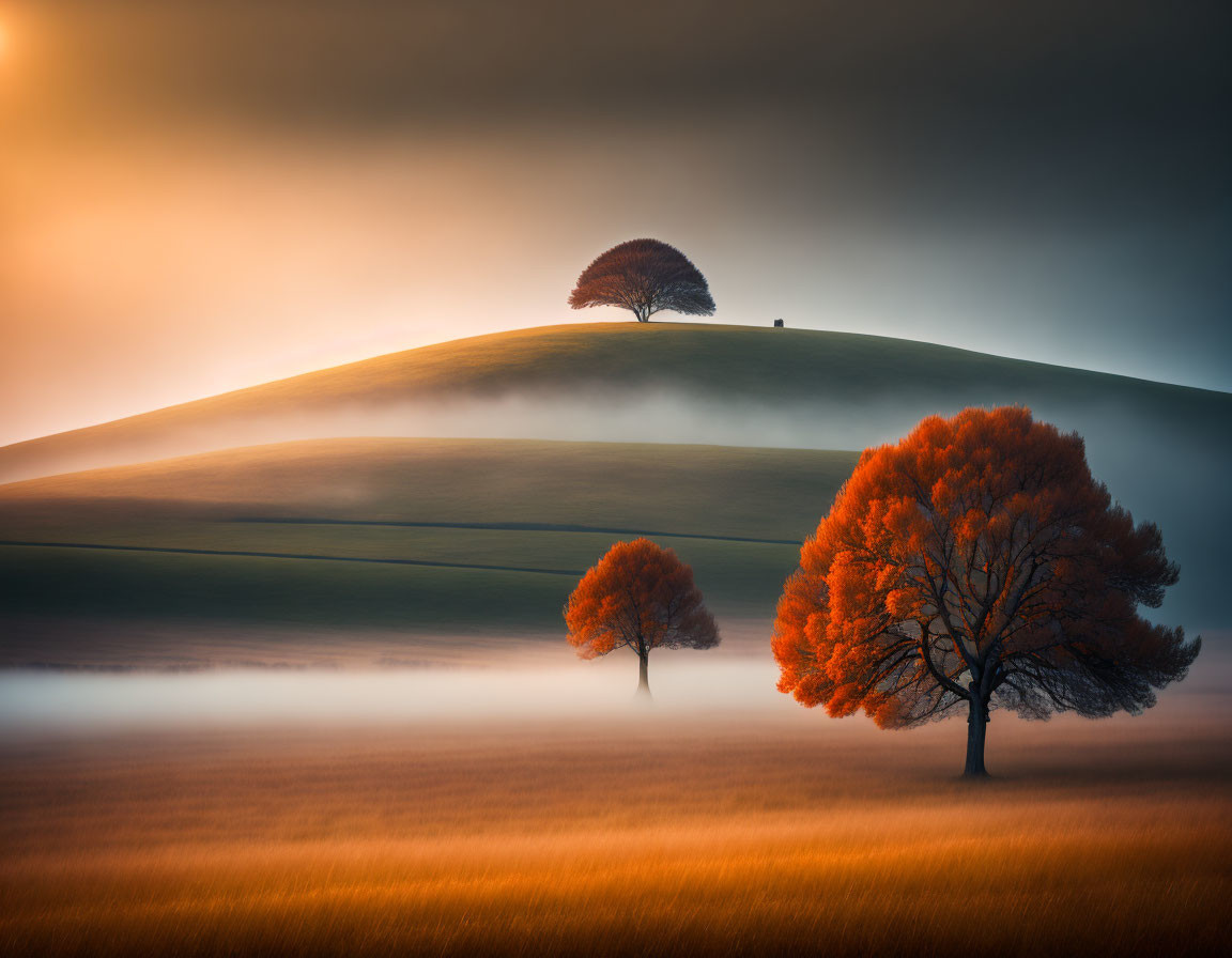 Tranquil landscape with misty hills, three trees, and orange sky