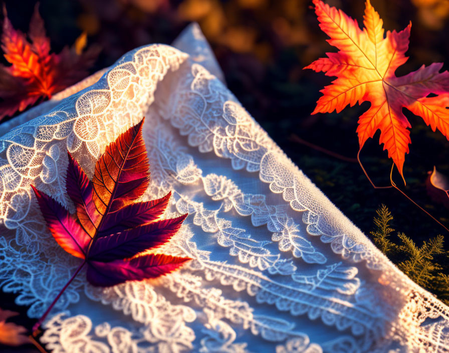 Vibrant autumn leaves on lace fabric under warm sunlight