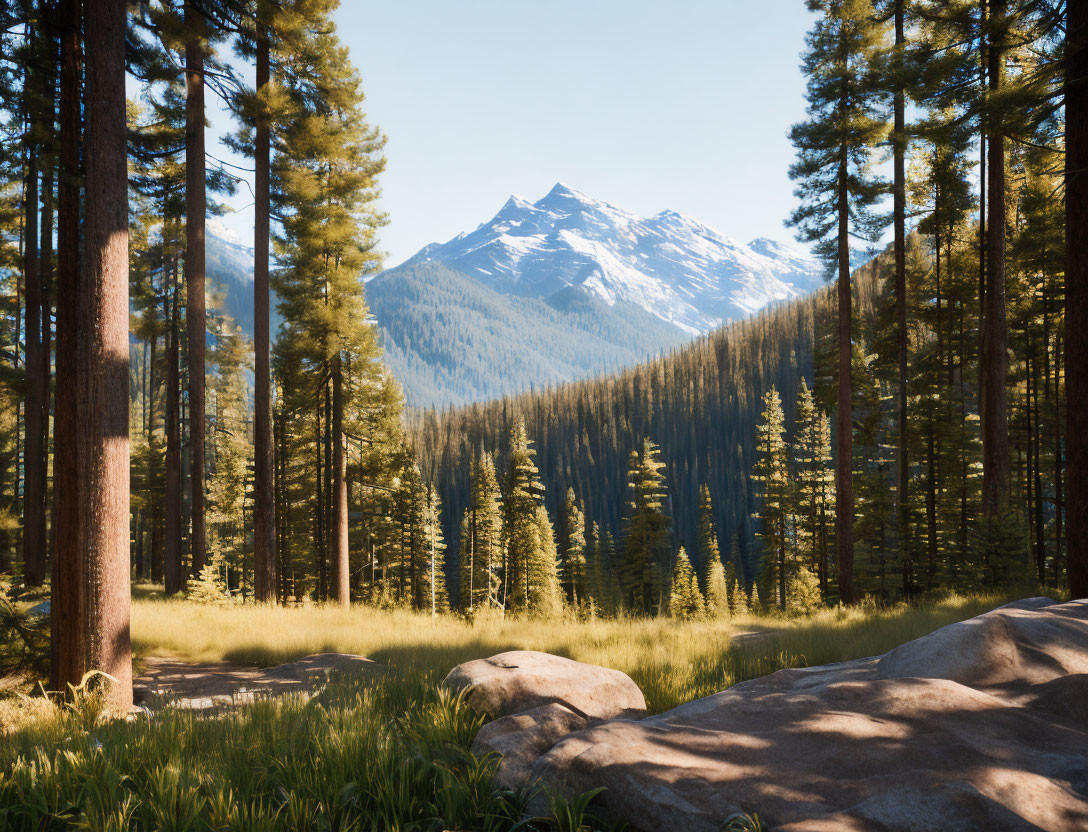 Tranquil Forest Clearing with Pine Trees and Mountain Backdrop