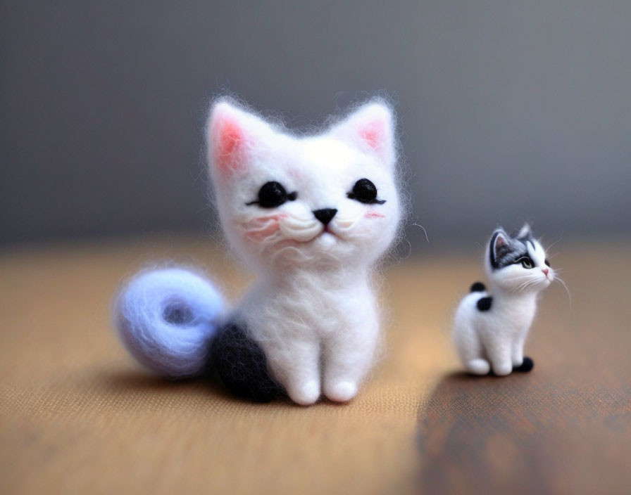 Cute cats