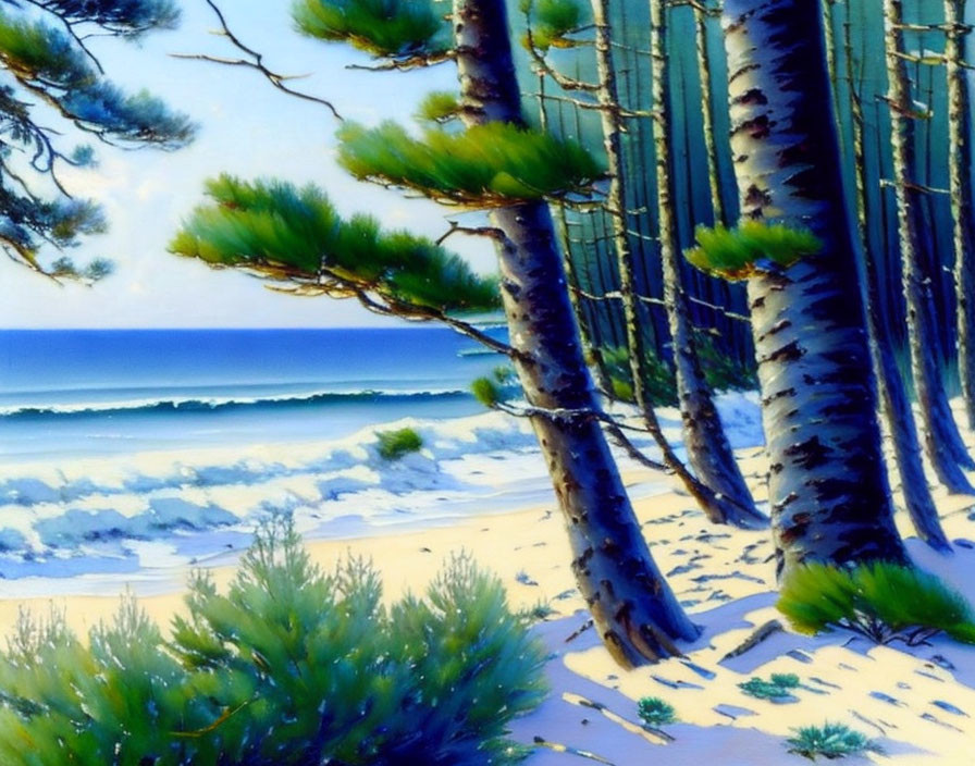 Tranquil coastal forest overlooking ocean with pine trees and sunlight