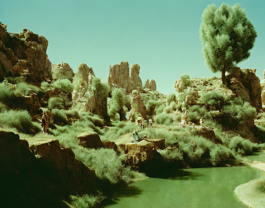 Tranquil desert landscape with lush greenery and still pond