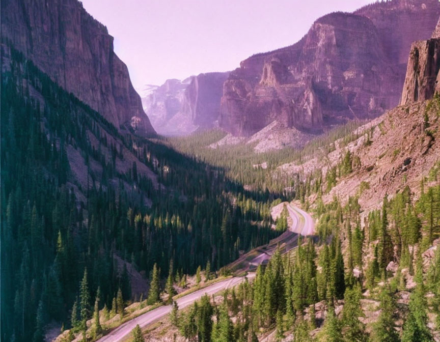 Winding Road Through Dense Forest in Mountainous Valley