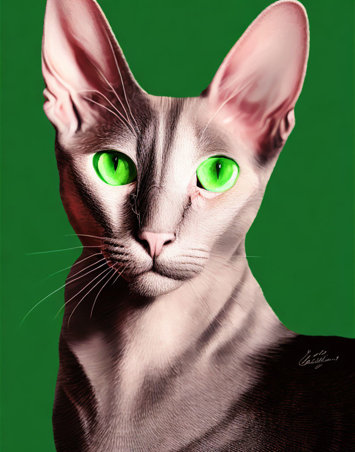 Sleek hairless Sphynx cat with green eyes on green backdrop